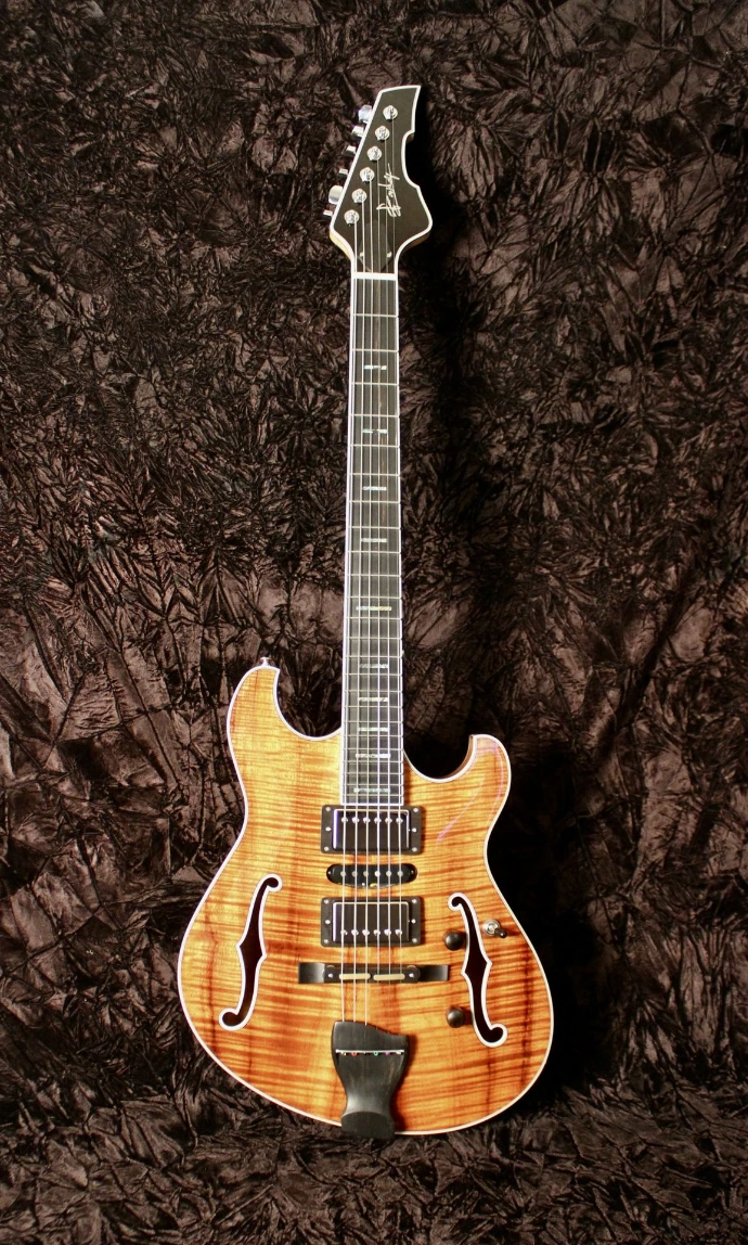 Custom Semi-Hollow Neo Guitar PL/TA Style